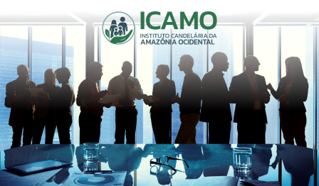 Assembleia Geral ICAMO